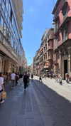 noam_alon1 Altpins Profile Picture