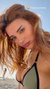 noam_alon1 Altpins Profile Picture