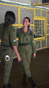 noam_kroitoru Altpins Profile Picture