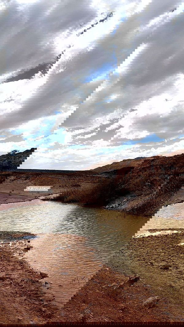 noammalka___ noammalka___ archive image