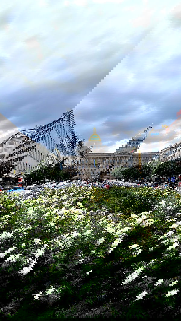 noammalka___ noammalka___ archive image