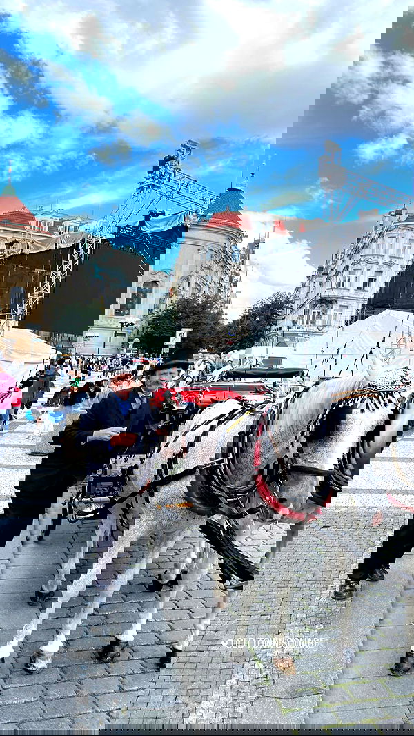 noammalka___ noammalka___ archive image