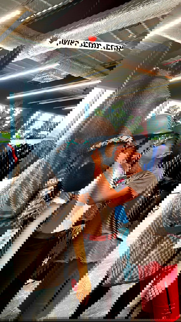 noammalka___ noammalka___ archive image