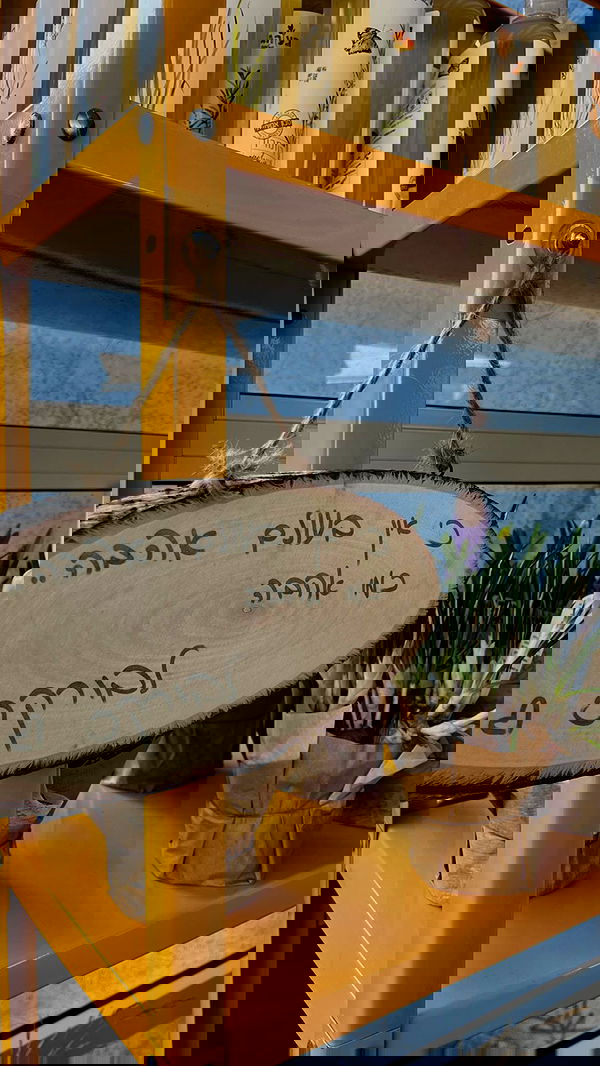 noammalka___ noammalka___ archive image