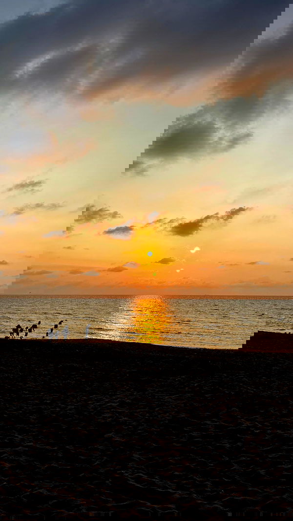 noammalka___ noammalka___ archive image