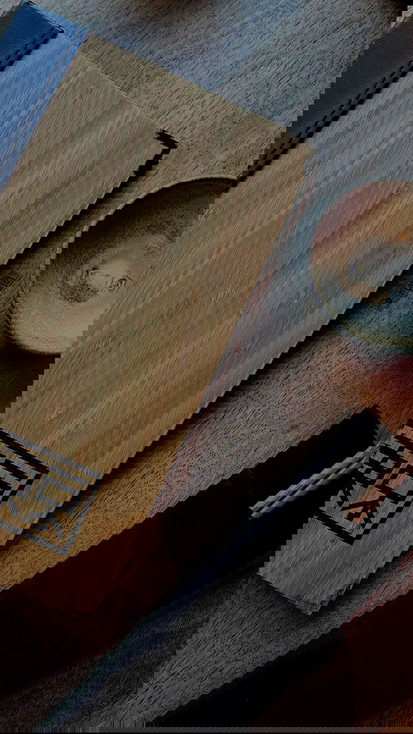 noammalka___ noammalka___ archive image