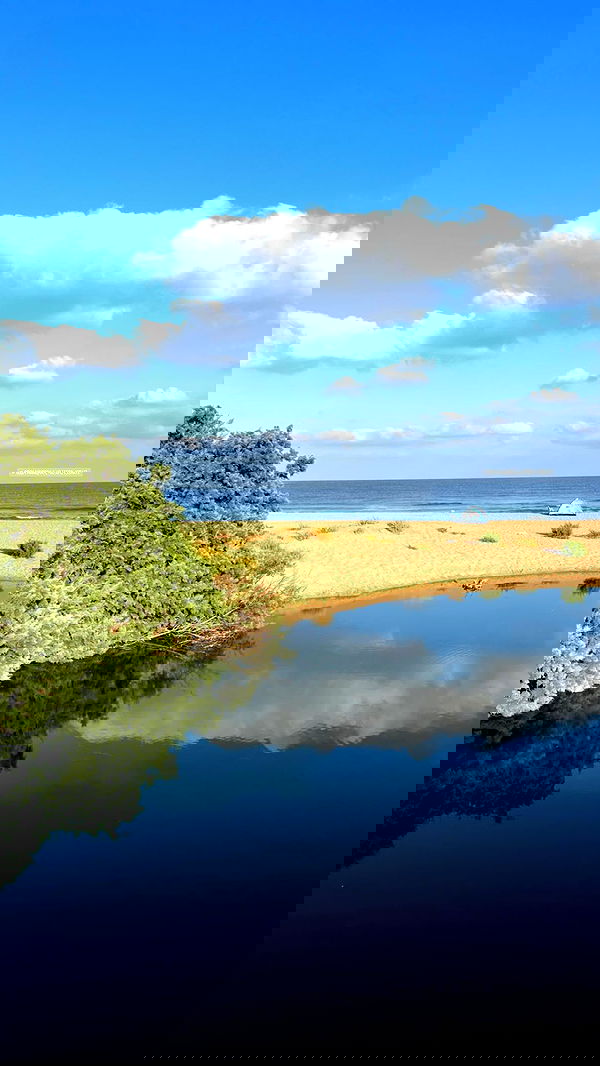 noammalka___ noammalka___ archive image