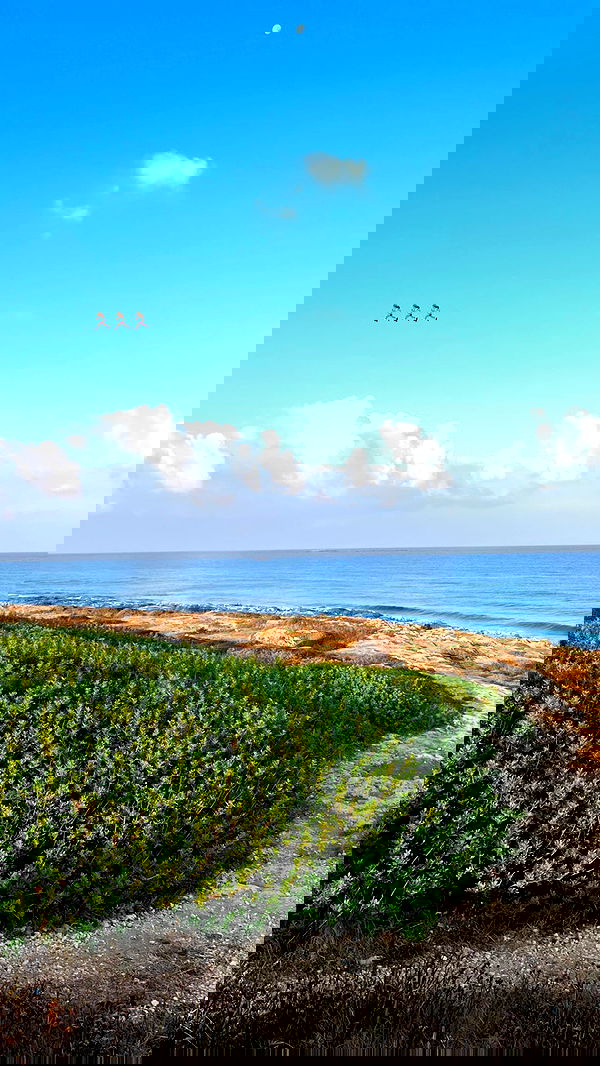 noammalka___ noammalka___ archive image