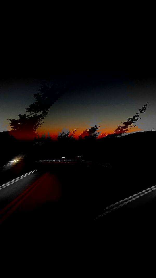 noammalka___ noammalka___ archive image