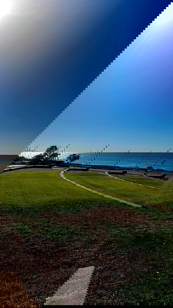 noammalka___ noammalka___ archive image