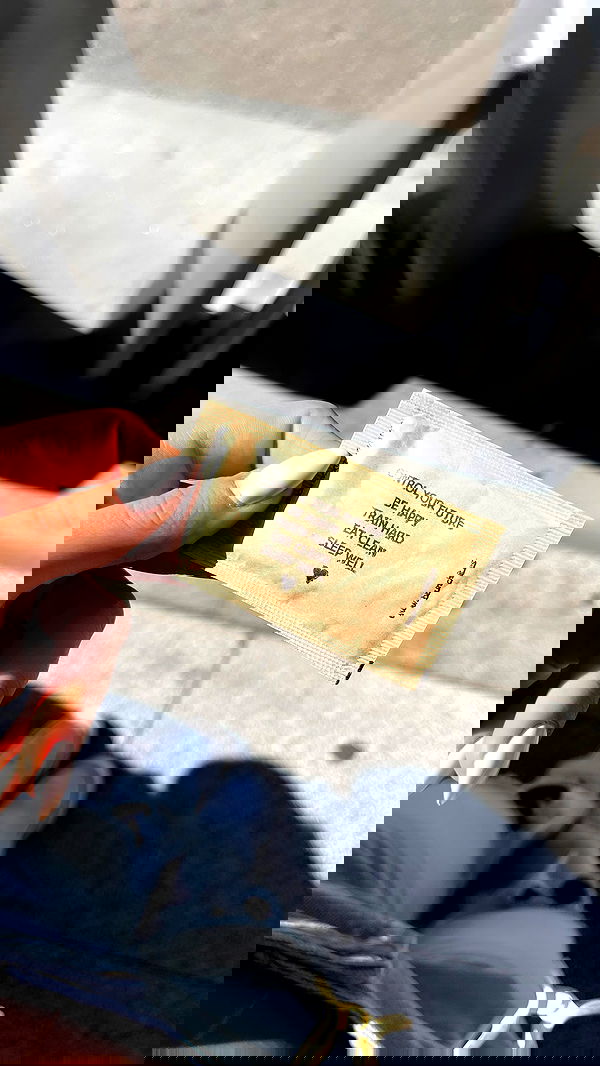 noammalka___ noammalka___ archive image