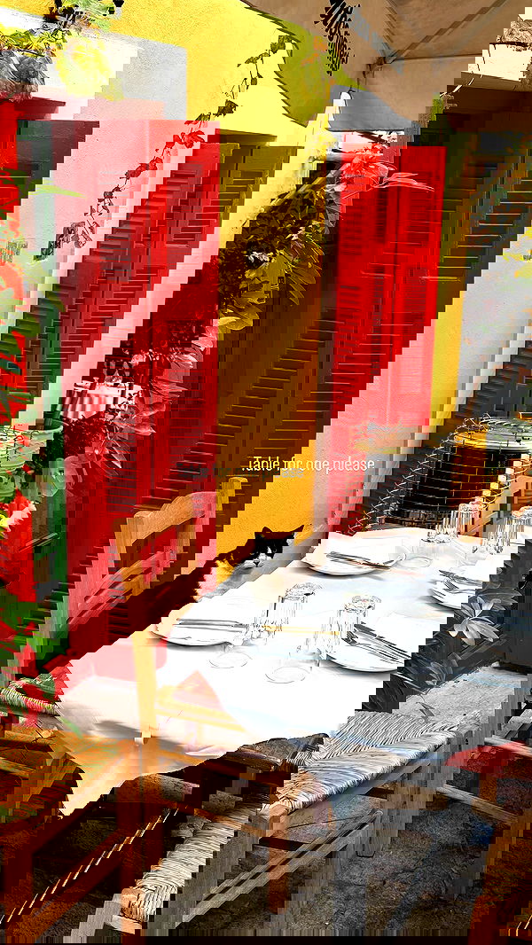 noammalka___ noammalka___ archive image