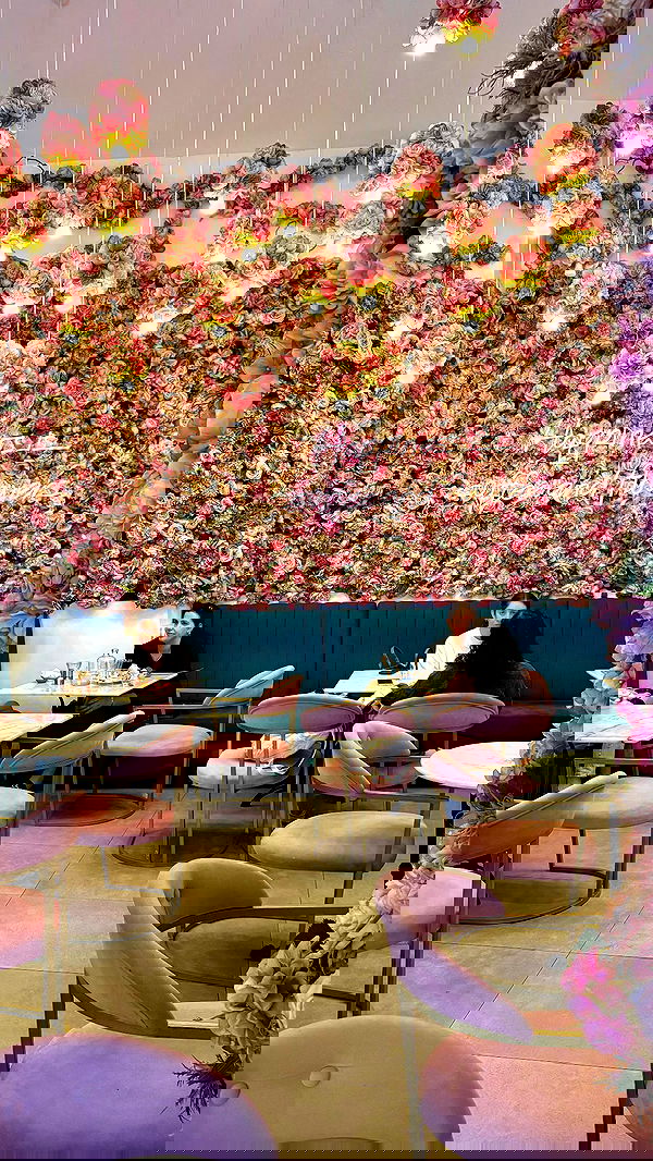 noammalka___ noammalka___ archive image