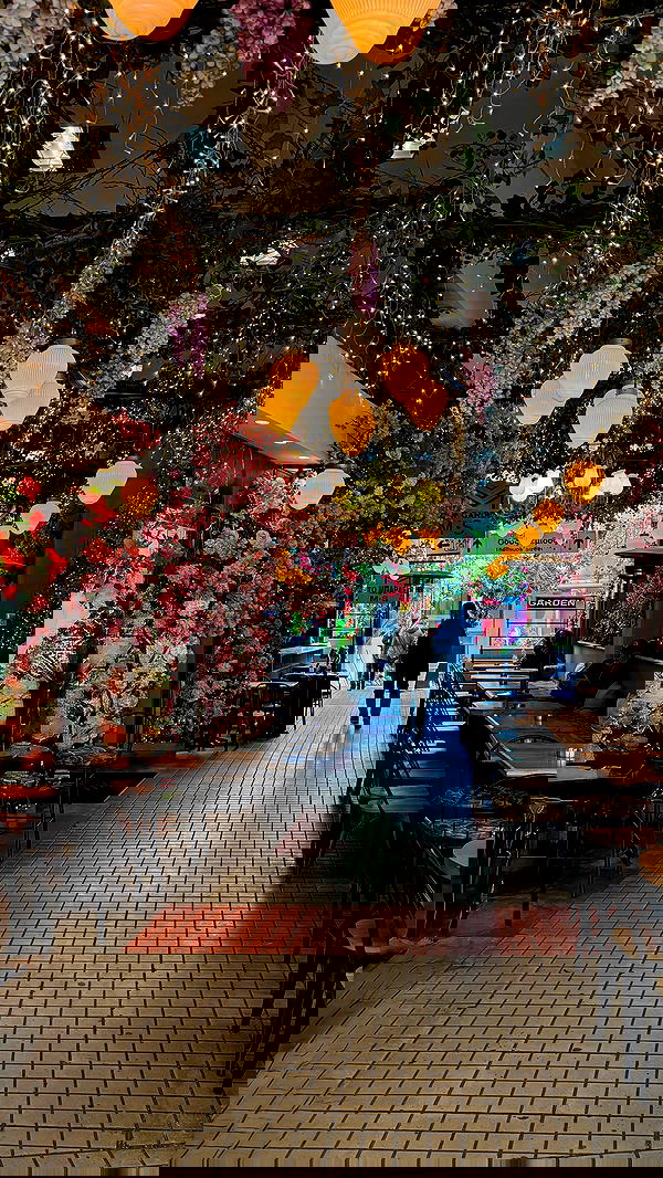 noammalka___ noammalka___ archive image