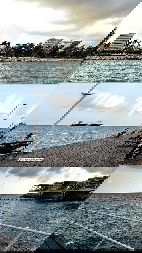 noammalka___ noammalka___ archive image