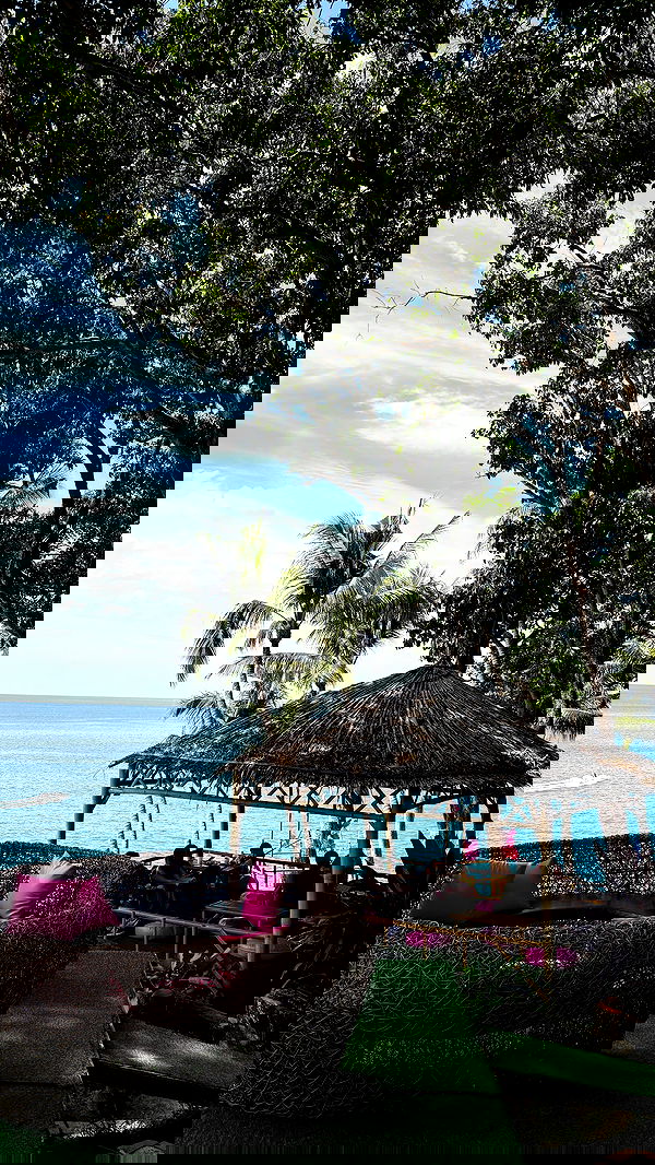 noammalka___ noammalka___ archive image