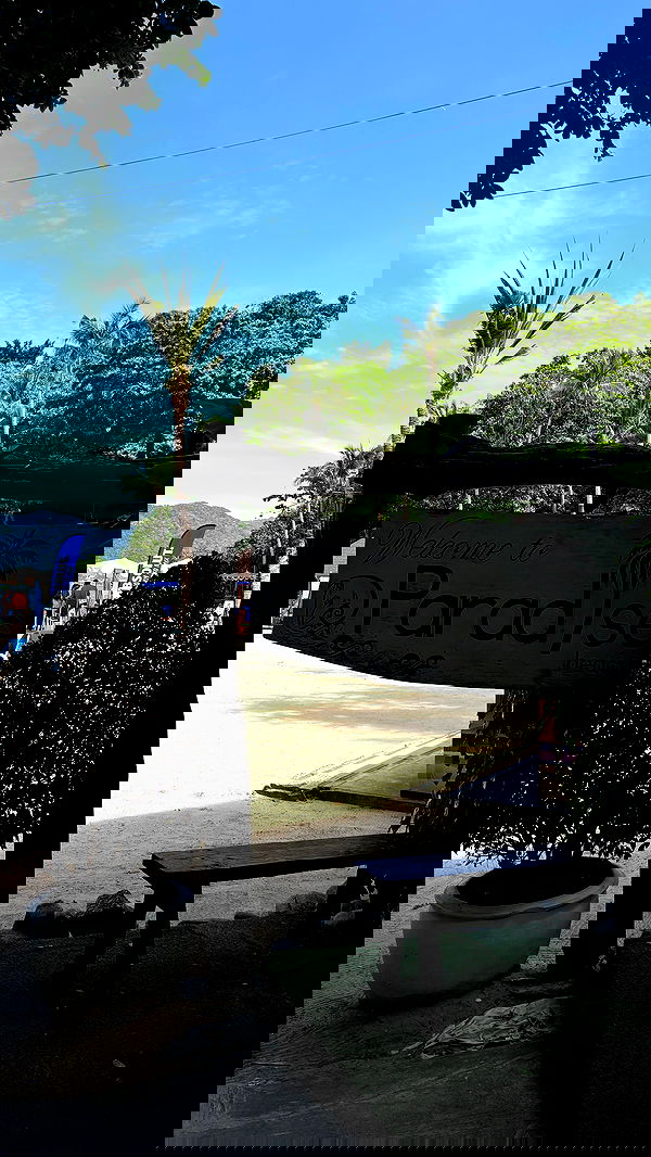 noammalka___ noammalka___ archive image