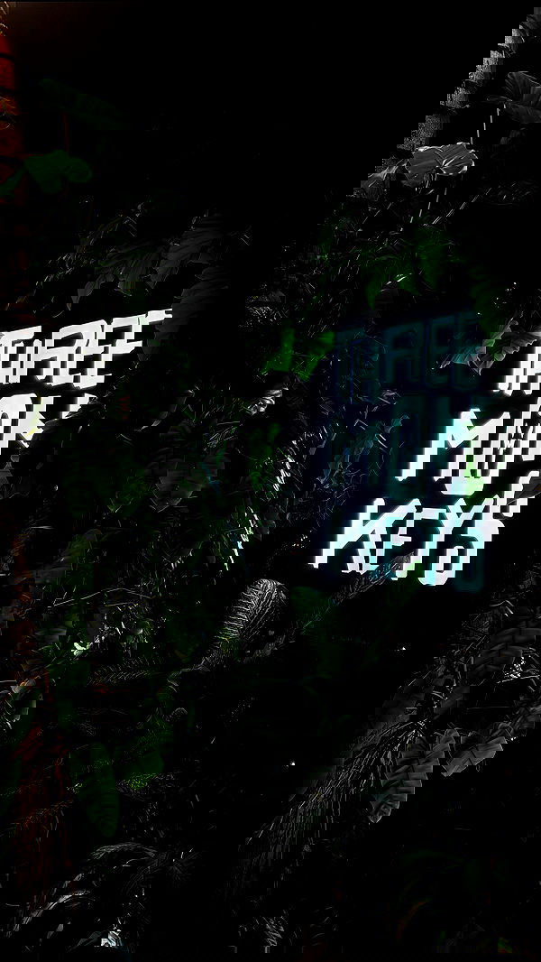 noammalka___ noammalka___ archive image