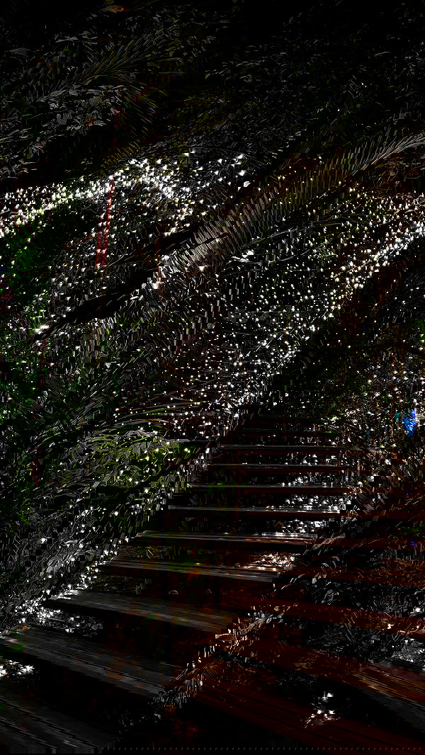 noammalka___ noammalka___ archive image