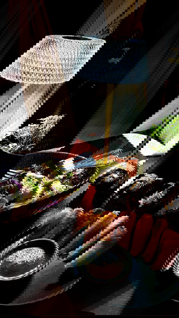 noammalka___ noammalka___ archive image