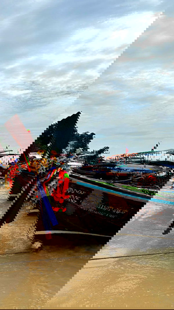 noammalka___ noammalka___ archive image