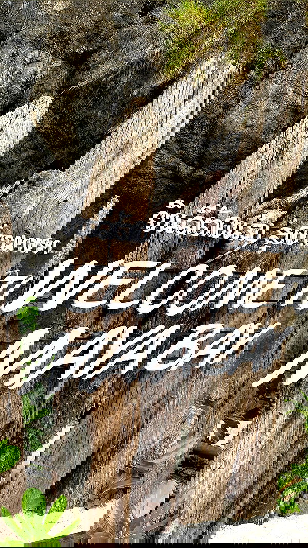 noammalka___ noammalka___ archive image