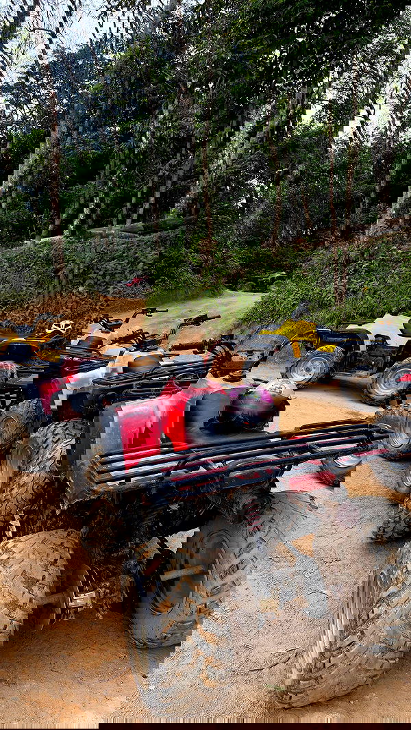 noammalka___ noammalka___ archive image