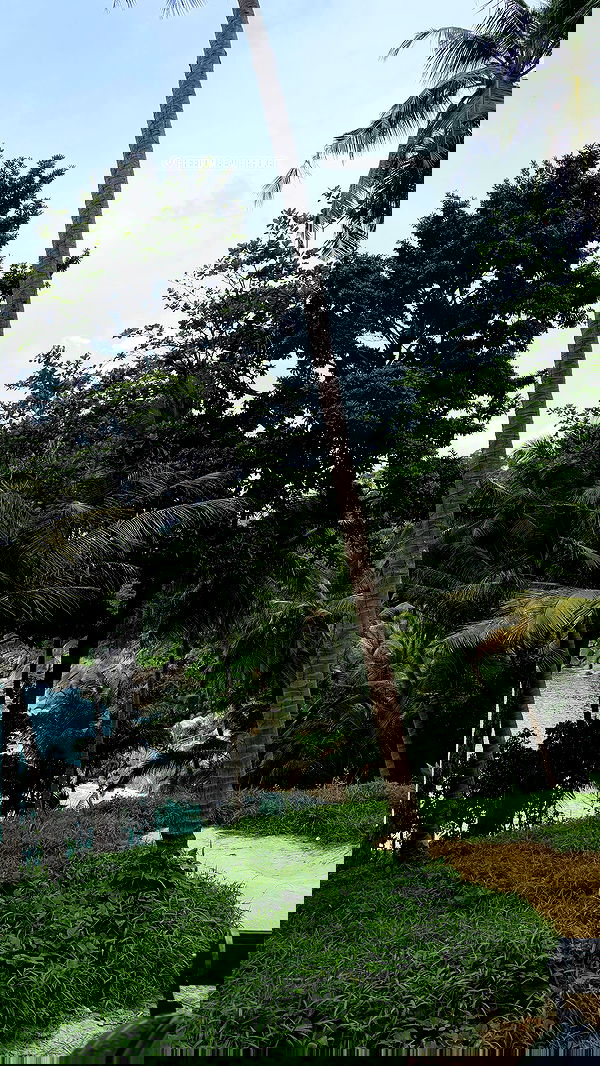 noammalka___ noammalka___ archive image