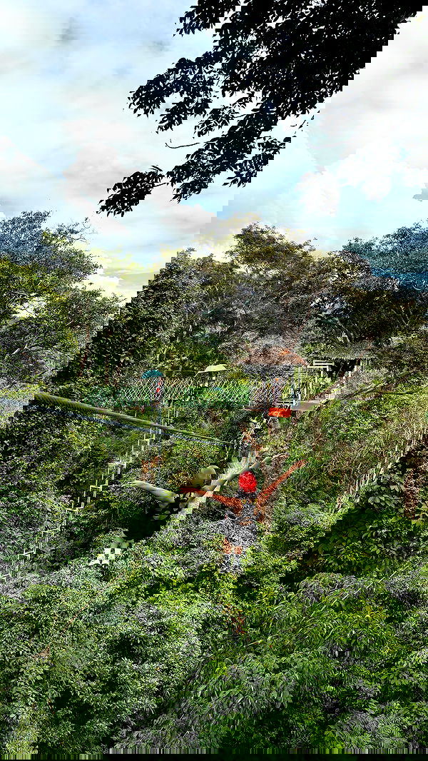 noammalka___ noammalka___ archive image