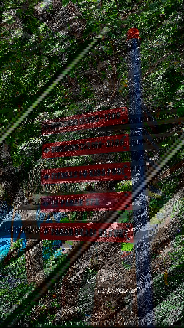 noammalka___ noammalka___ archive image