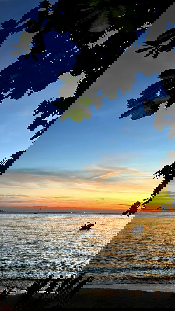 noammalka___ noammalka___ archive image