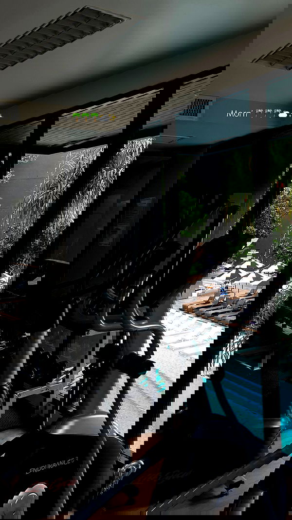 noammalka___ noammalka___ archive image