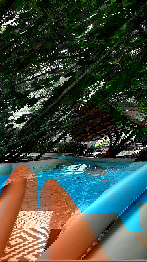 noammalka___ noammalka___ archive image