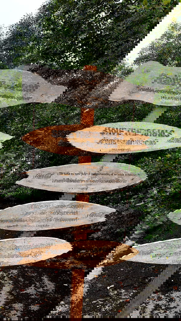 noammalka___ noammalka___ archive image