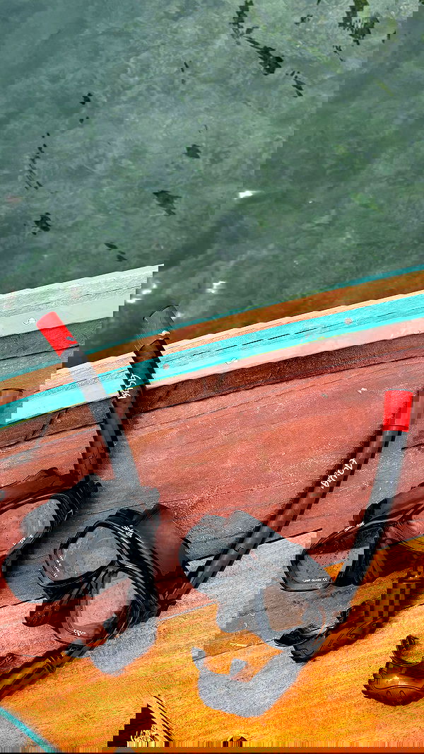 noammalka___ noammalka___ archive image