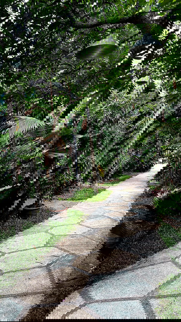 noammalka___ noammalka___ archive image