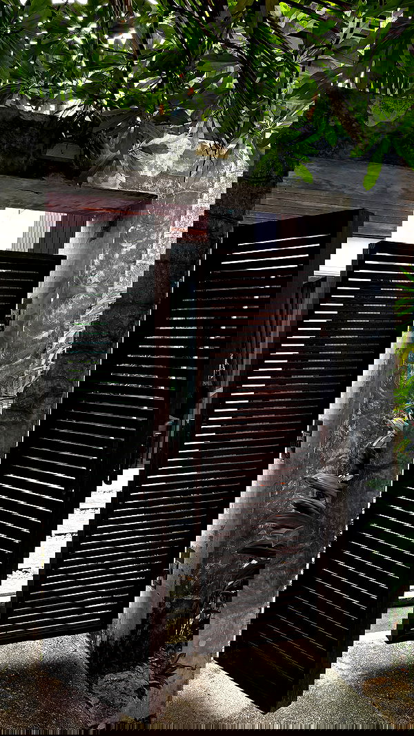 noammalka___ noammalka___ archive image