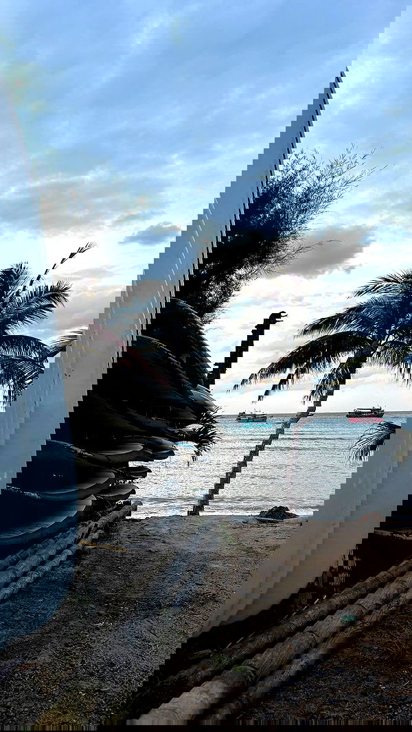 noammalka___ noammalka___ archive image