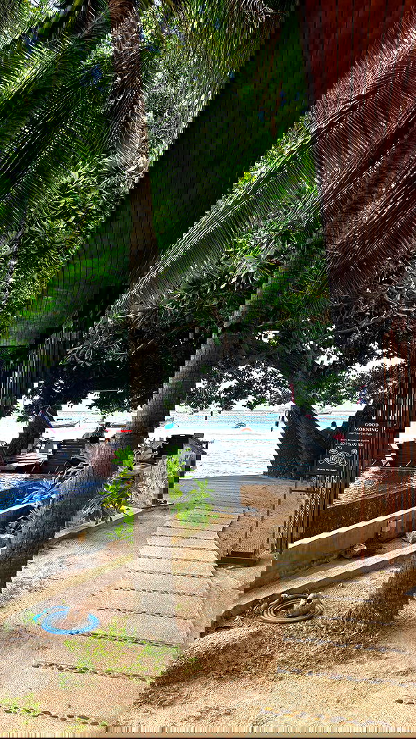 noammalka___ noammalka___ archive image