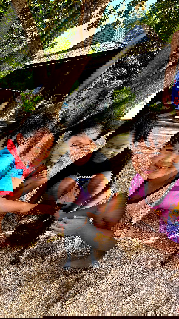 noammalka___ noammalka___ archive image