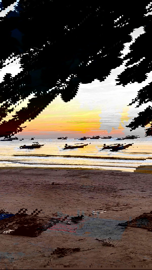 noammalka___ noammalka___ archive image