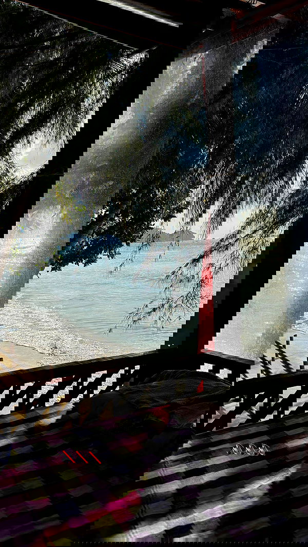 noammalka___ noammalka___ archive image