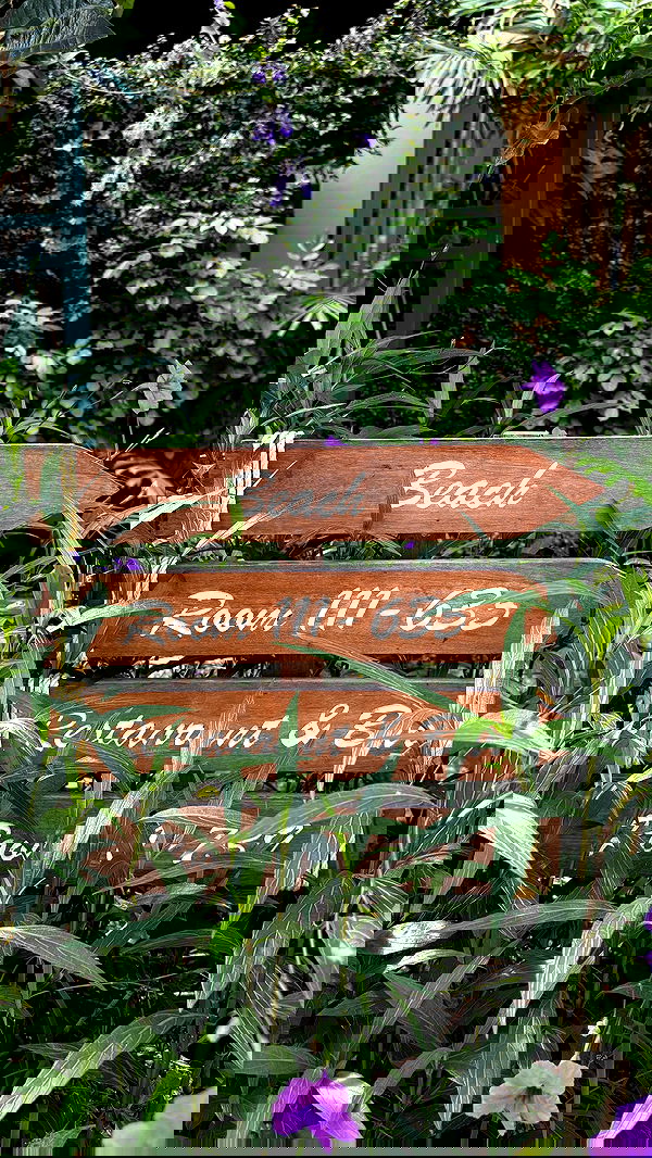 noammalka___ noammalka___ archive image