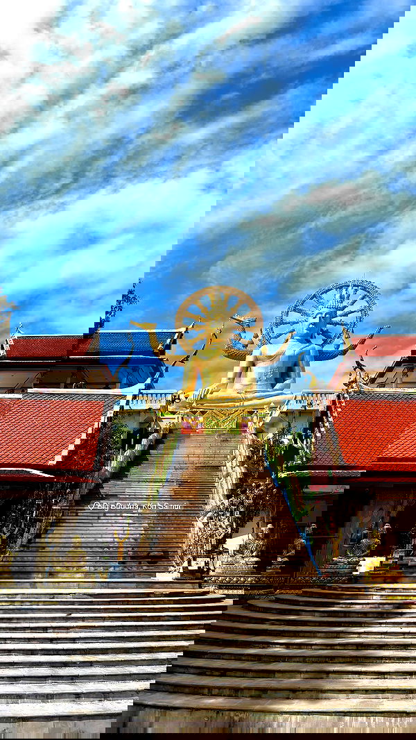 noammalka___ noammalka___ archive image