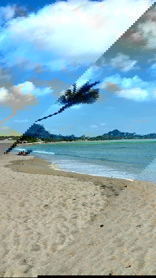 noammalka___ noammalka___ archive image