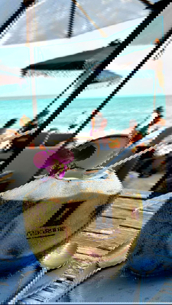 noammalka___ noammalka___ archive image