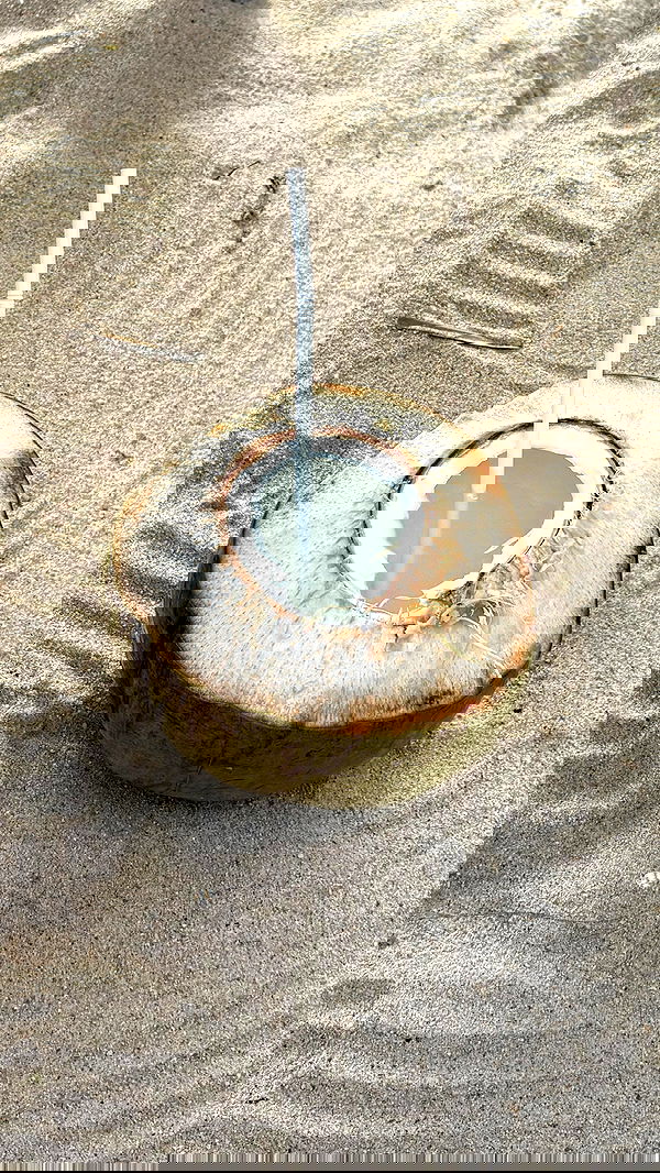 noammalka___ noammalka___ archive image