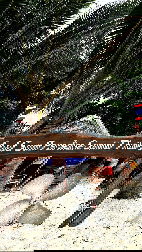 noammalka___ noammalka___ archive image