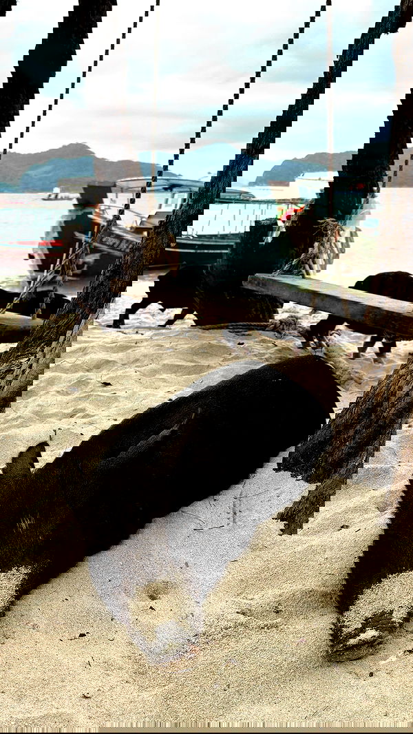 noammalka___ noammalka___ archive image