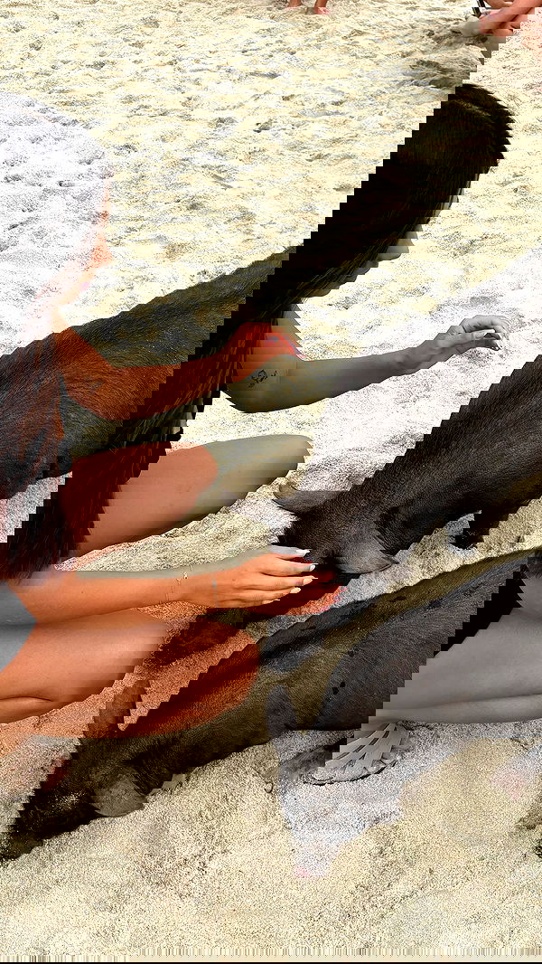 noammalka___ noammalka___ archive image